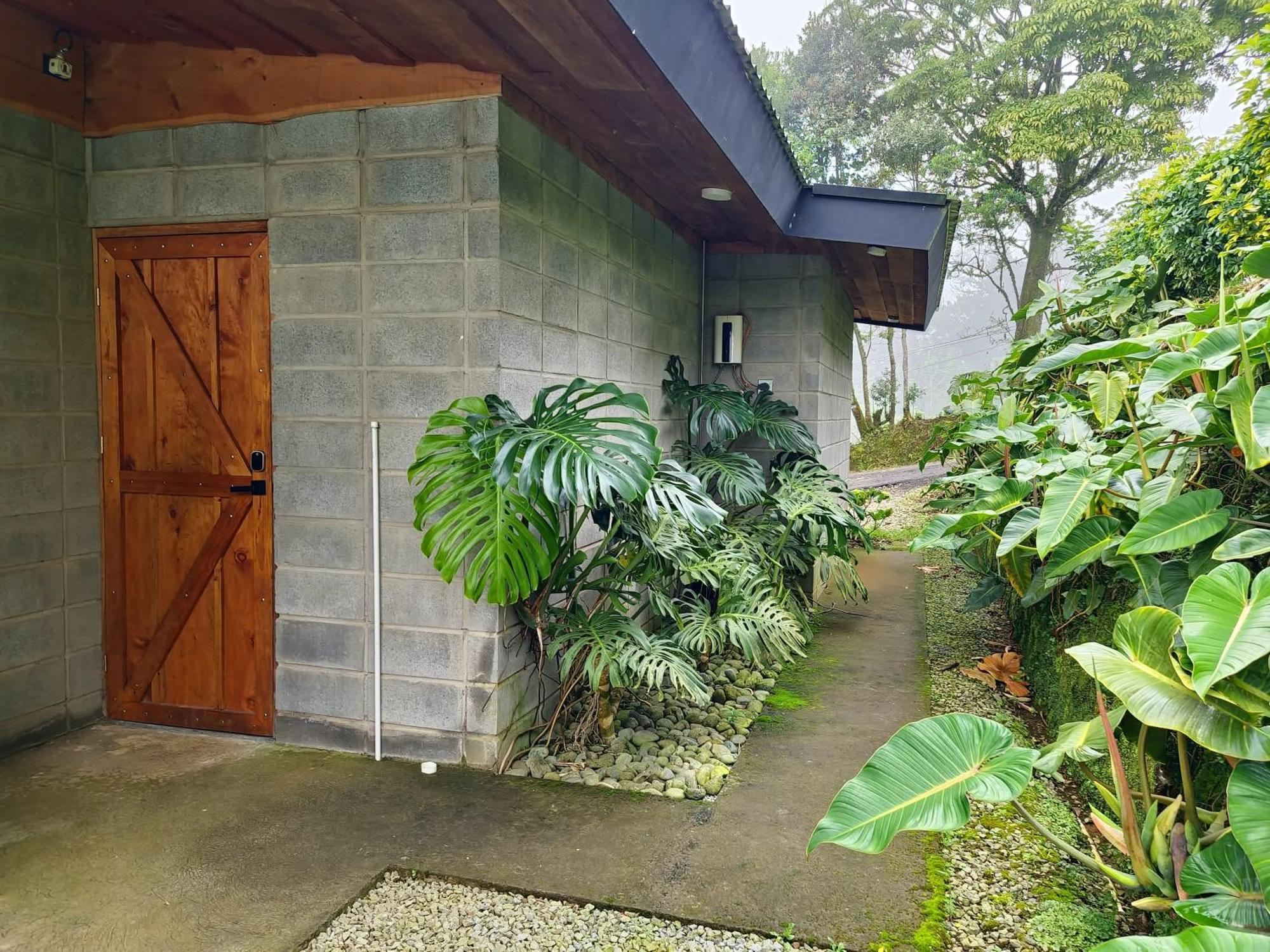 Espectacular Cabana Moderna De Montana + Bosque Nuboso +Wifi Zarcero Dış mekan fotoğraf